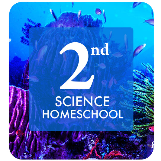 2nd Grade Science: Homeschool