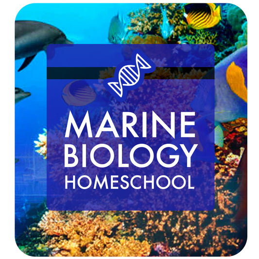 Marine Biology: Homeschool